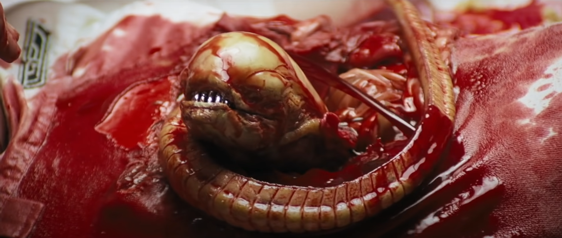 Alien chestburster (1979)