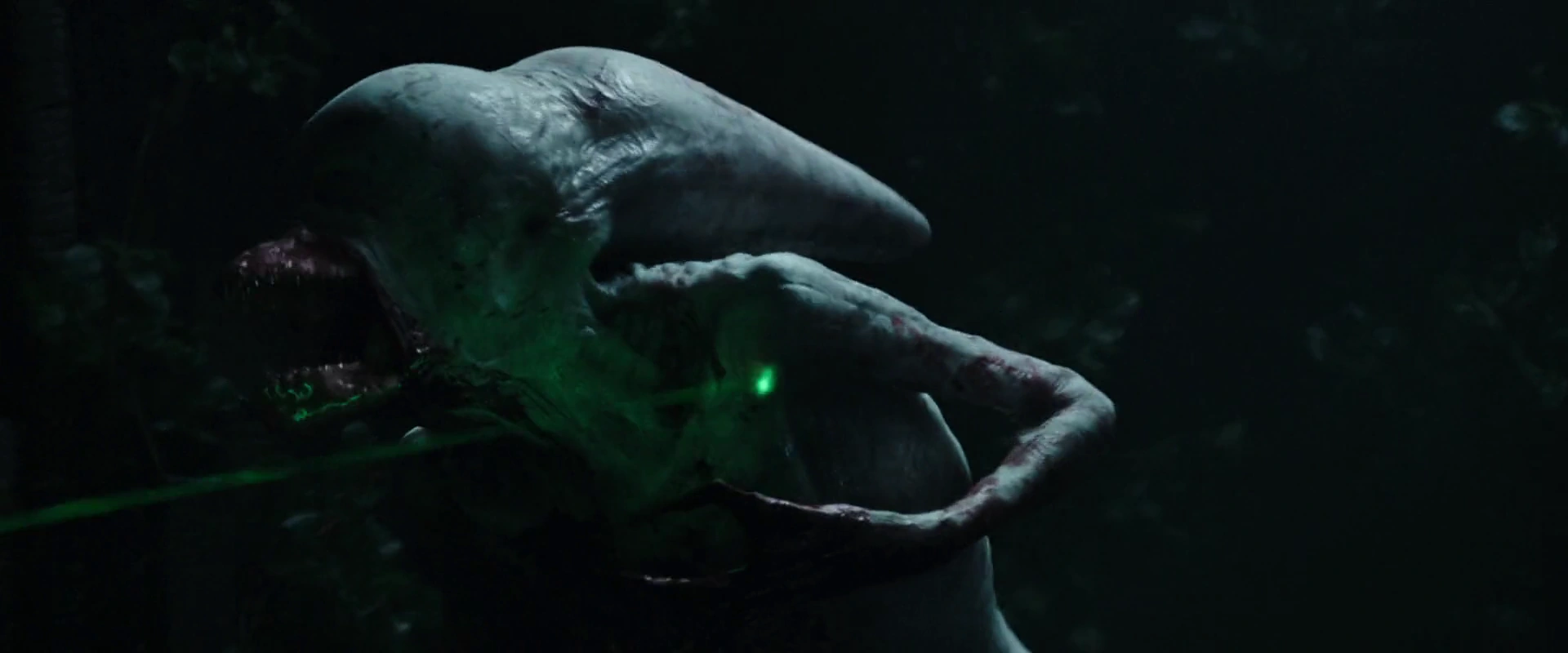 Neomorph (2017)