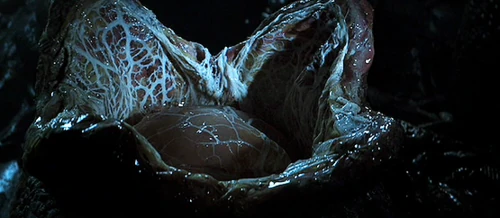 Alien Ovomorph (egg)