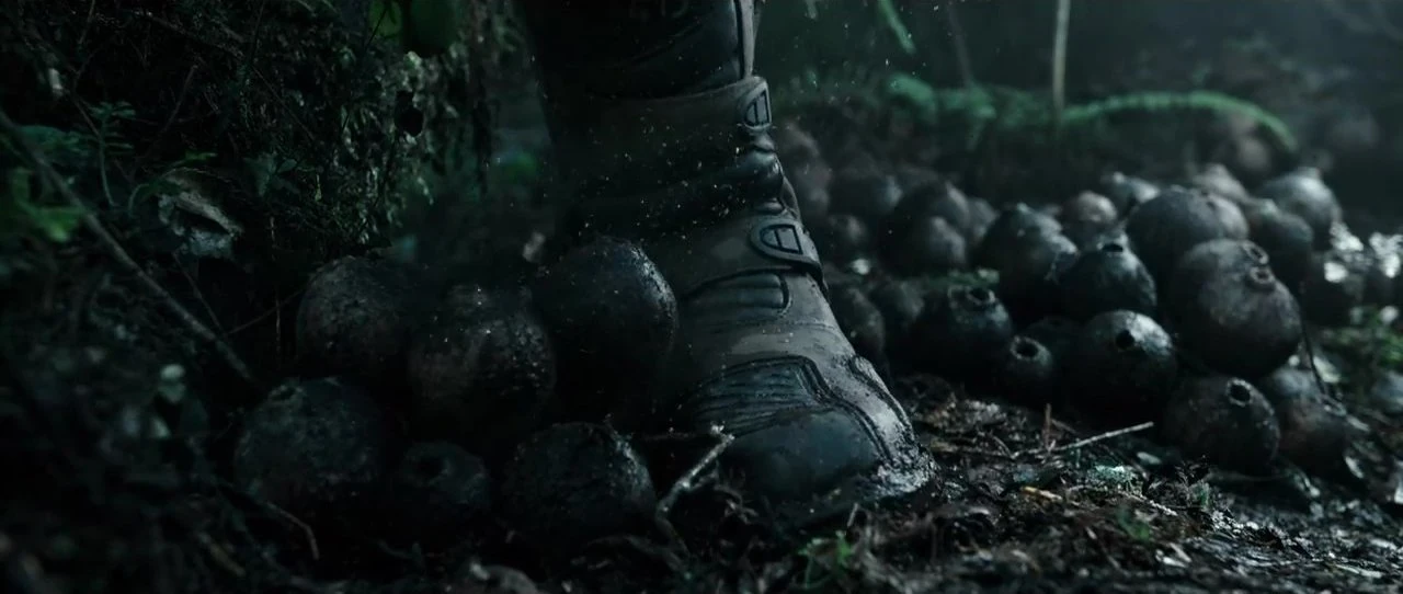Plant spores (2017)